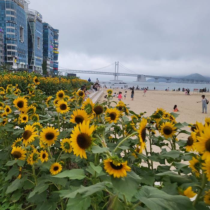 광안리 해변 1분 부산 광안리 한달살기 숙소 소개 (7).jpg